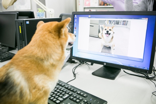 表情がいいのはこの写真かな？