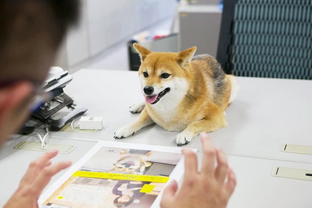 編集長、できたワン！チェックをお願いします！
