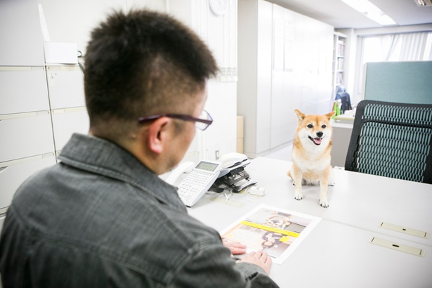 どうかな？ドキドキするワン…
