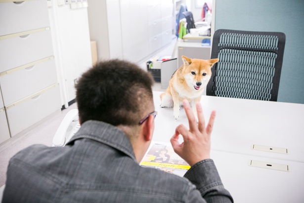 「バッチリ！OK」