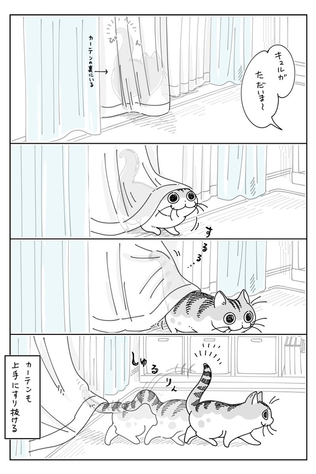 02 画像提供：キュルZ@kyuryuZ
