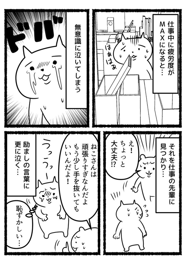 すぐに泣いてしまう、残業ねこ。