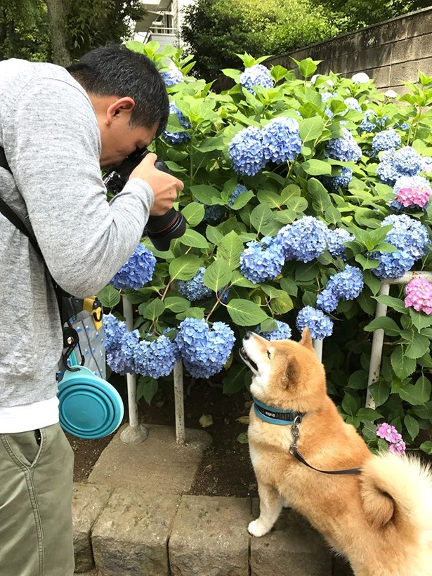まるを撮影する小野さん