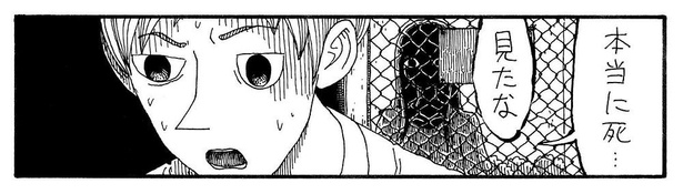 「見たな」05
