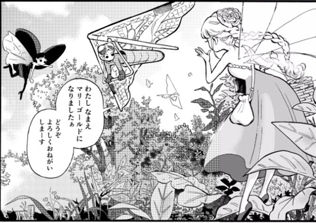 あさがおさん(1)