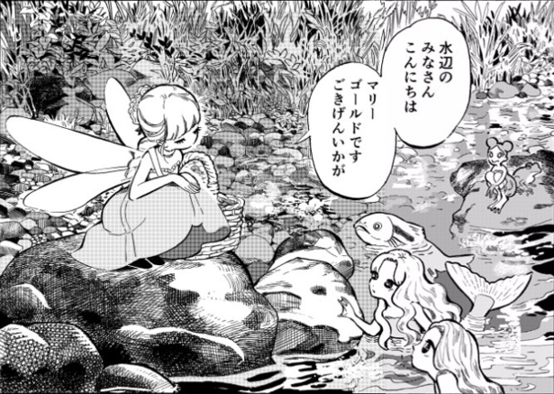 あさがおさん(2)