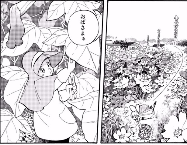 あさがおさん(3)
