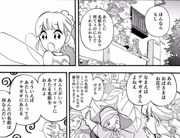 あさがおさん(6)