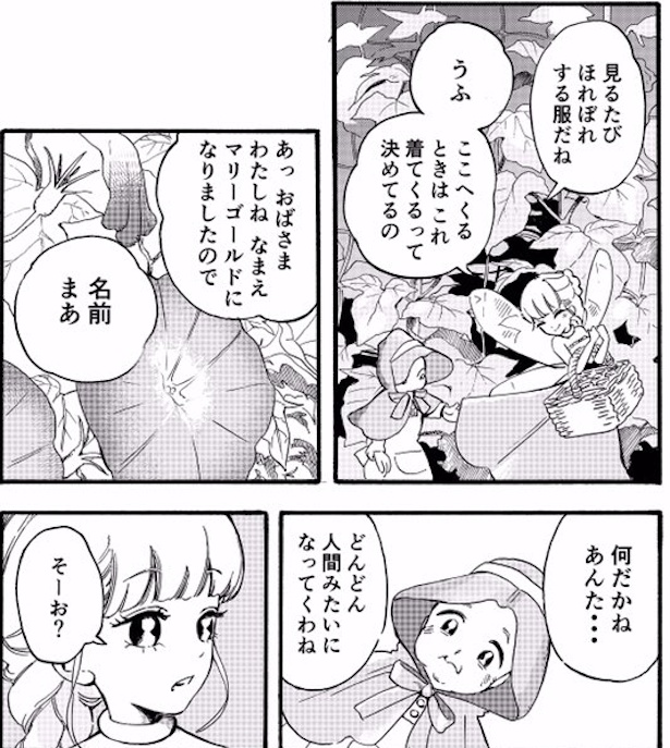 あさがおさん(7)