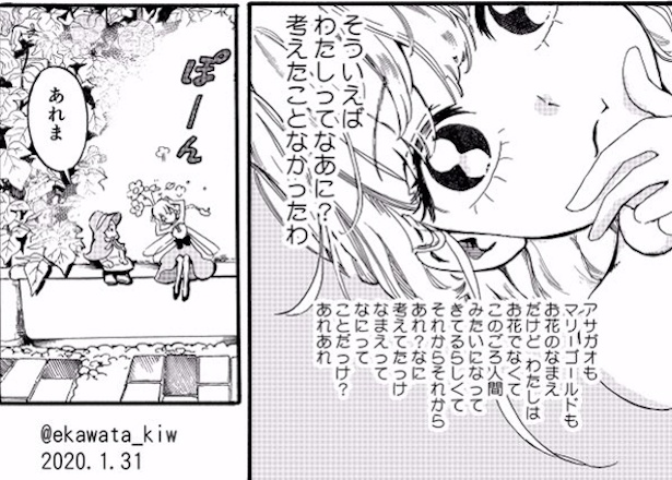 あさがおさん(8)