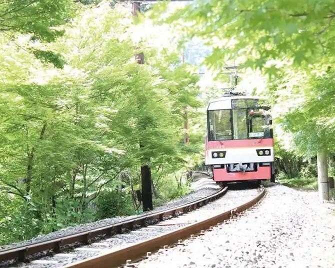 初夏ならではの「青もみじ」の魅力とは？梅雨の時期でも楽しめる、京阪電車のおすすめ青もみじ＆あじさいスポット