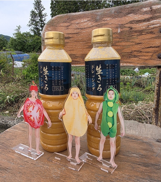 楽天市場】カメヤ 生おろし仕立てにんじんドレッシング 380g×5個