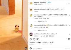 「お仕事…行ってしまうのですか…？」というコメント付きで投稿されたインスタグラムのリール動画は、現在271万回以上再生されている
