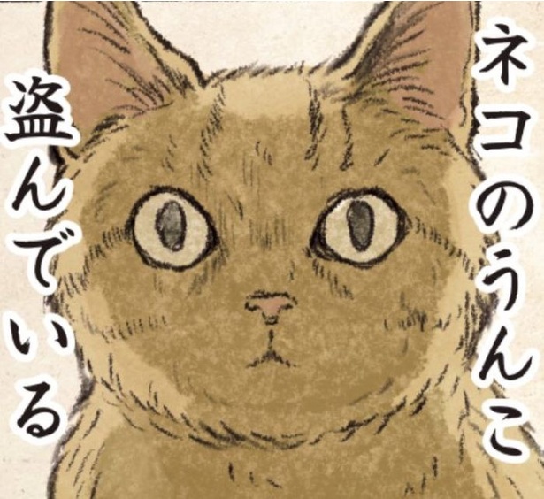 じっと見つめる猫様はいつもこんな風に思っている