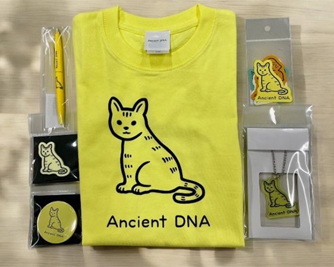 国立科学博物館で特別展「古代DNA―日本人のきた道―」が開催中！おすすめ展覧会グッズを一挙紹介