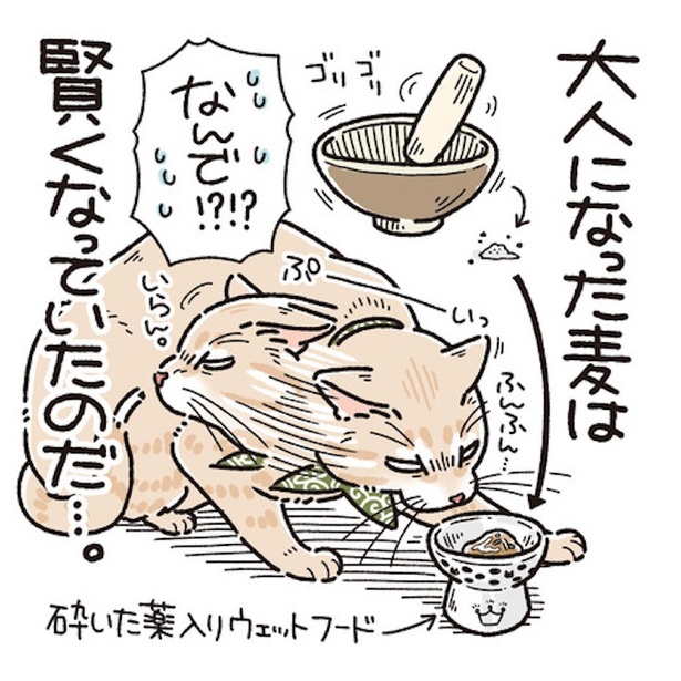  麦の健康診断5(5)