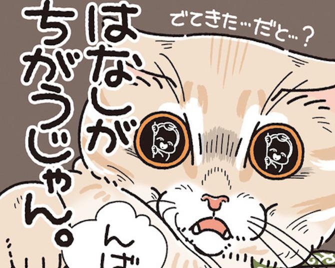 【ねこ漫画】もしもパパの服をママが着ていたら…？驚く愛猫がかわいすぎる!!“キレーな二度見”をする猫【作者に聞いた】