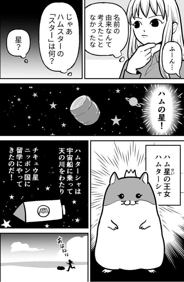 「ハムガールの冒険」26
