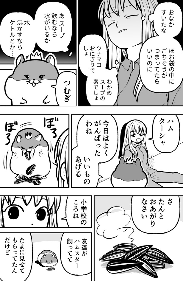 「ハムガールの冒険」32