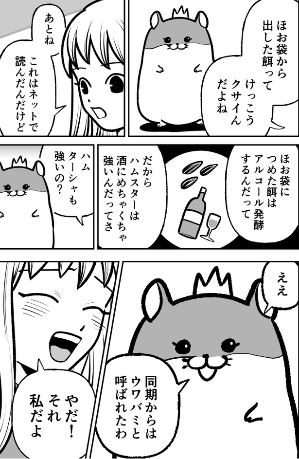 「ハムガールの冒険」33