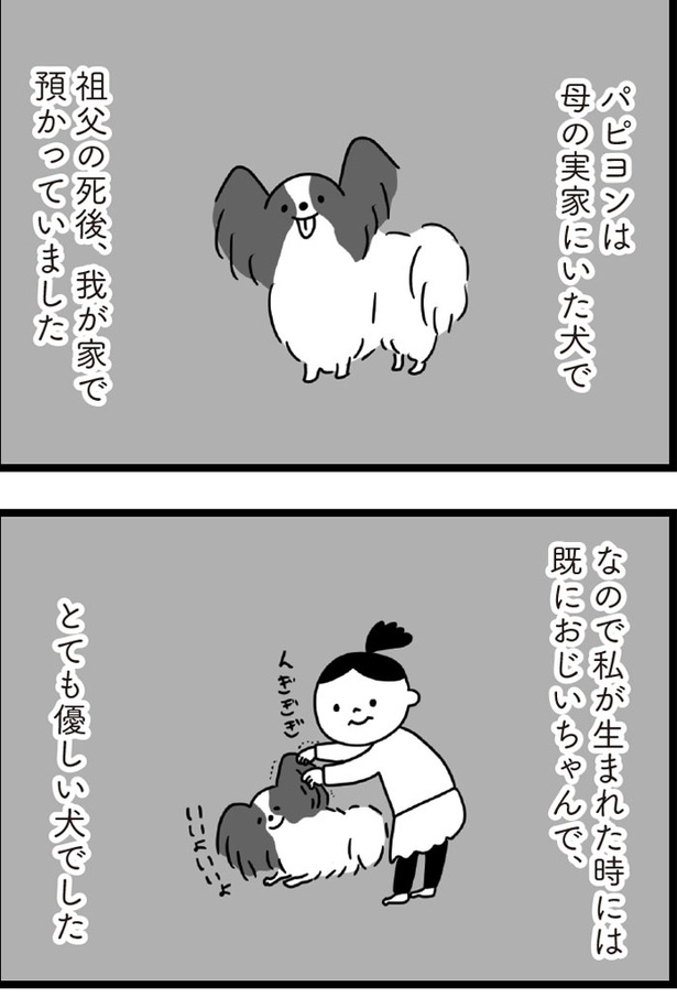 「おはよう、サンテ」1話(09)