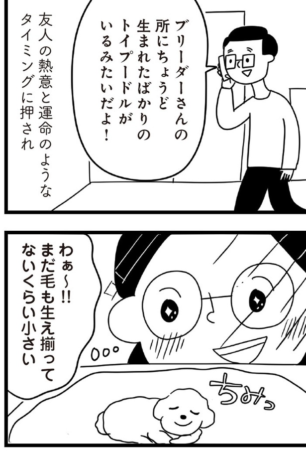 「おはよう、サンテ」2話(05)