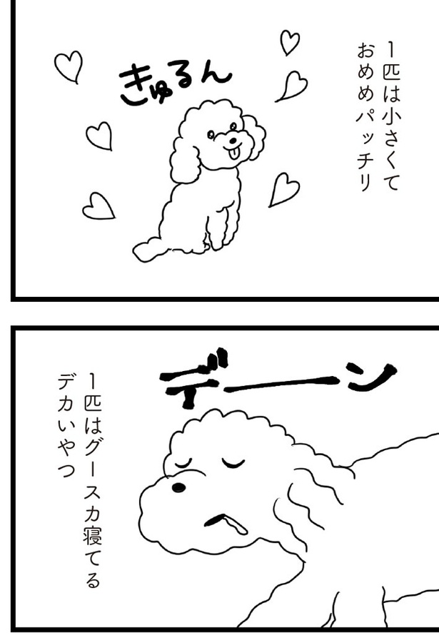 「おはよう、サンテ」3話(01)