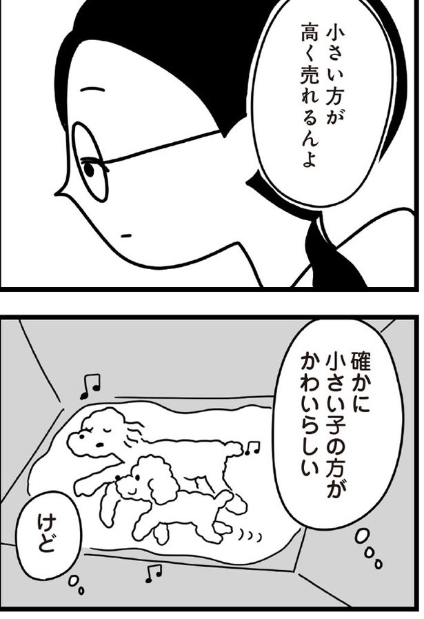 「おはよう、サンテ」3話(03)