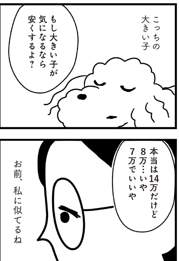 「おはよう、サンテ」3話(04)