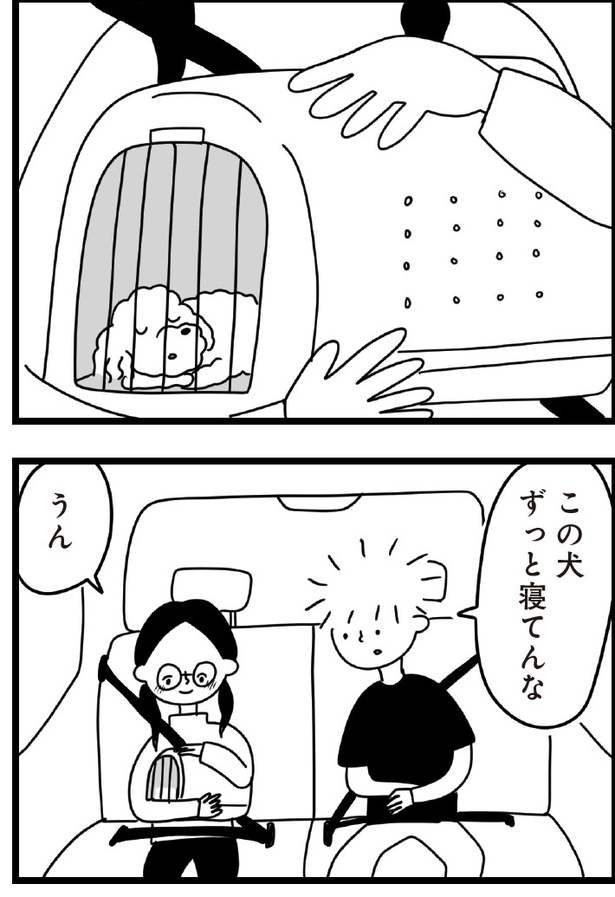 「おはよう、サンテ」4話(01)