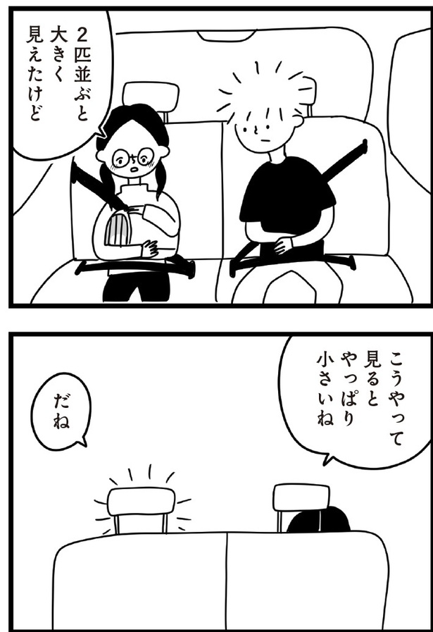 「おはよう、サンテ」4話(02)