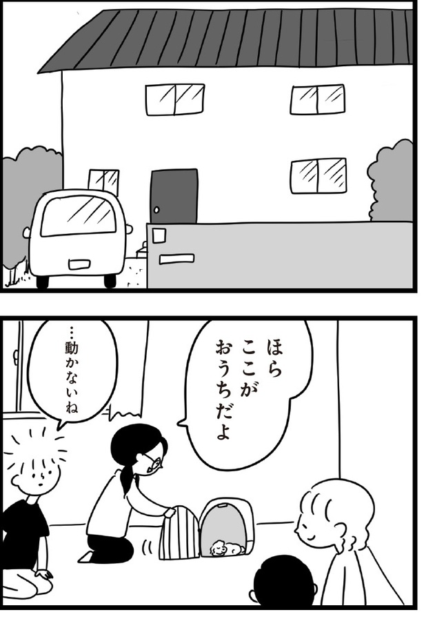 「おはよう、サンテ」4話(03)