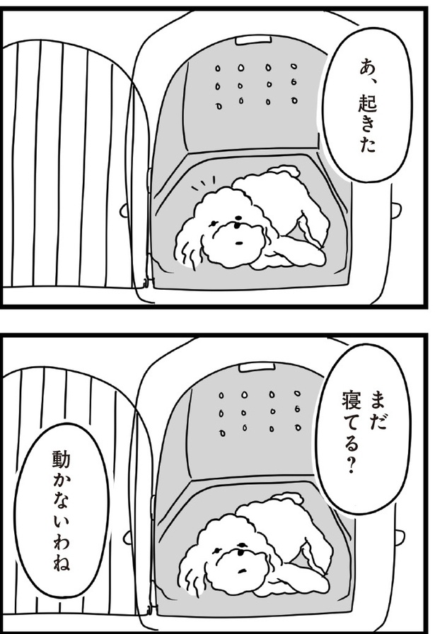 「おはよう、サンテ」4話(04)
