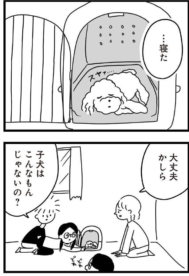 「おはよう、サンテ」4話(05)