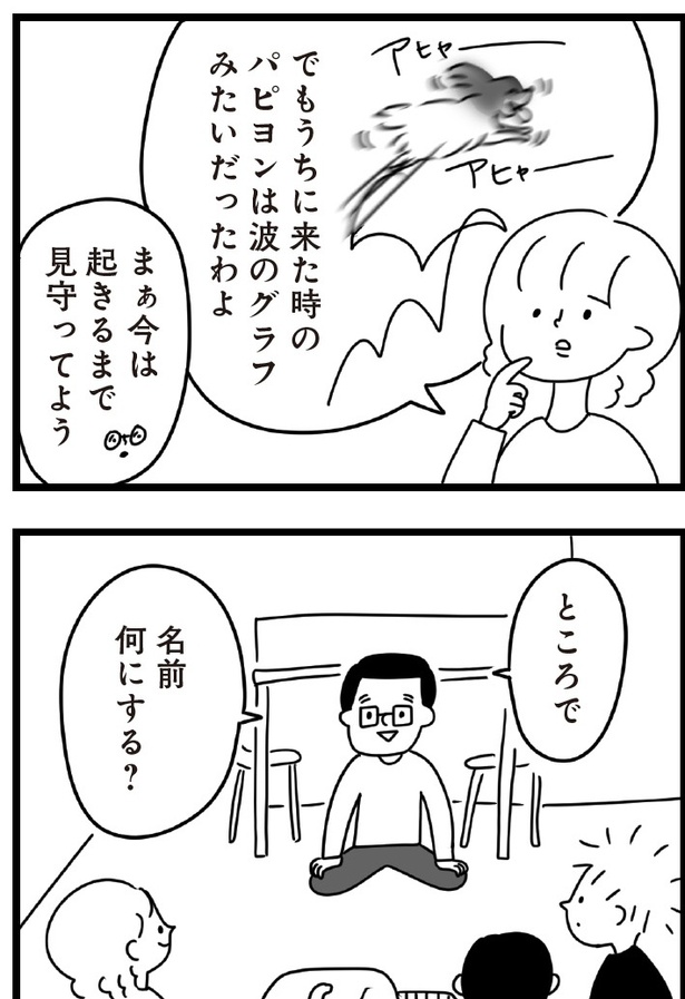 「おはよう、サンテ」4話(06)
