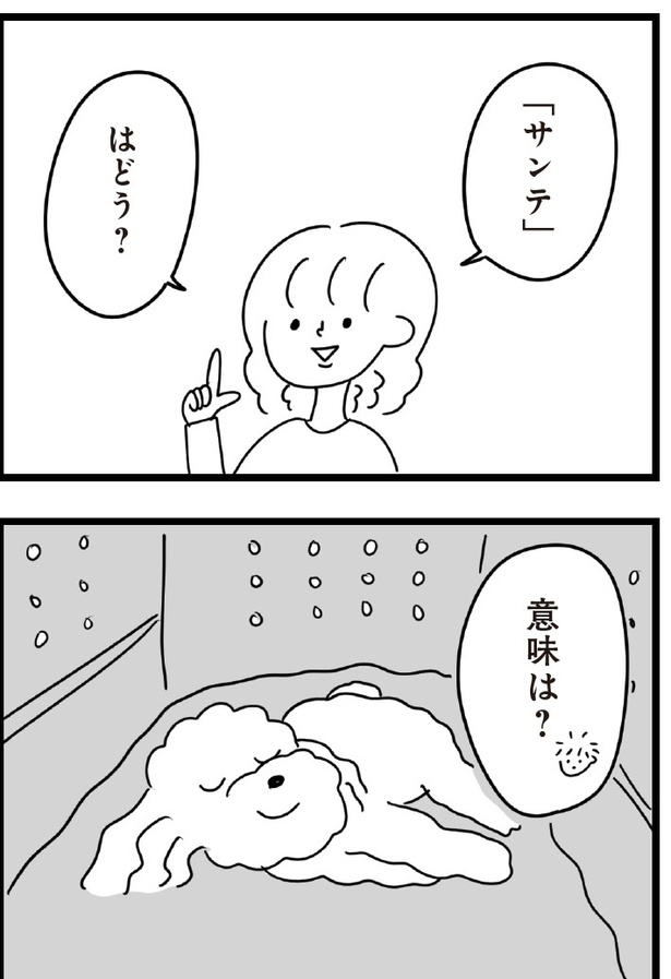 「おはよう、サンテ」4話(08)