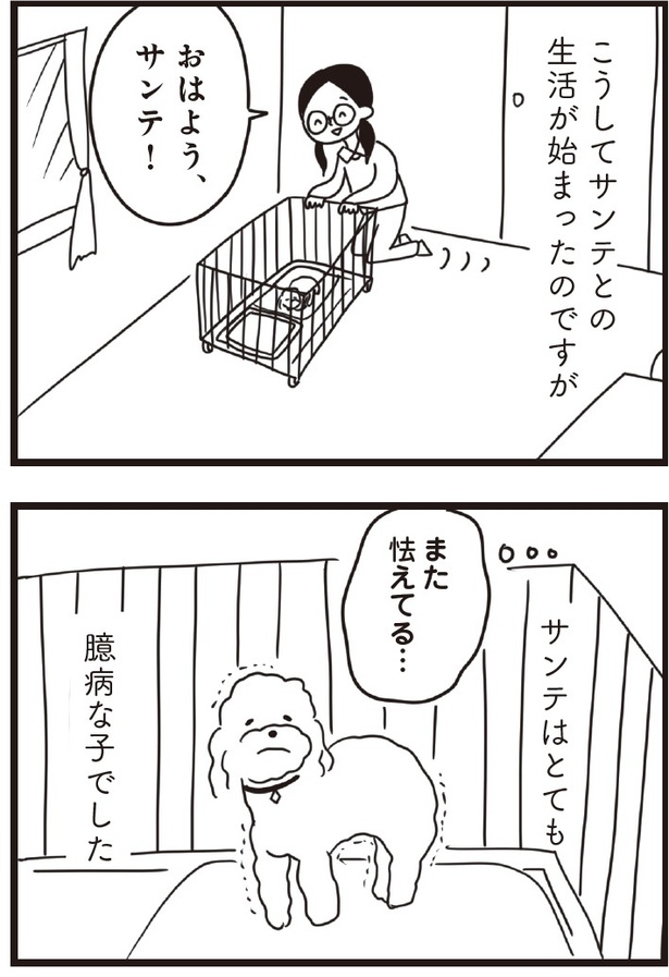 「おはよう、サンテ」5話(01)