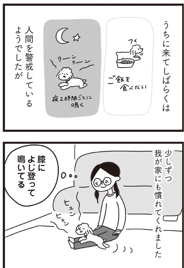 「おはよう、サンテ」5話(02)
