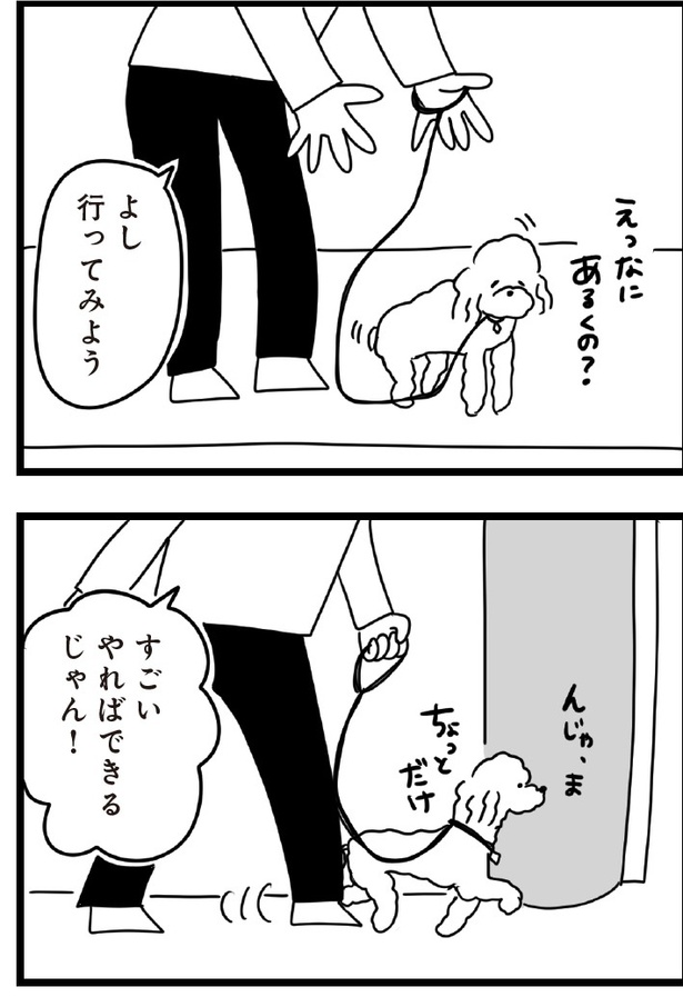 「おはよう、サンテ」5話(05)