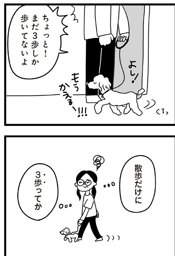 「おはよう、サンテ」5話(06)