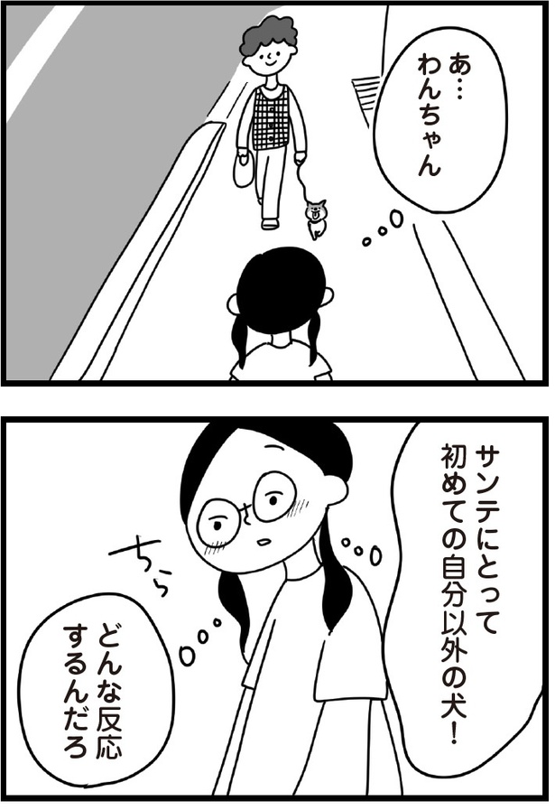 「おはよう、サンテ」5話(07)