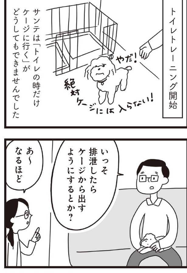 「おはよう、サンテ」6話(01)
