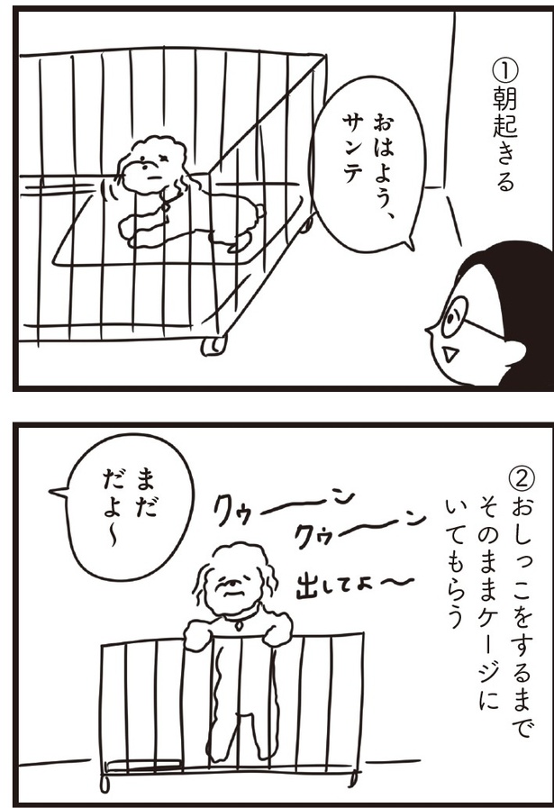 「おはよう、サンテ」6話(02)