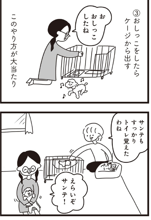 「おはよう、サンテ」6話(03)