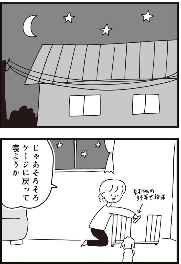 「おはよう、サンテ」6話(04)