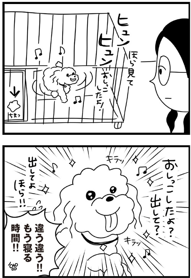 「おはよう、サンテ」6話(06)