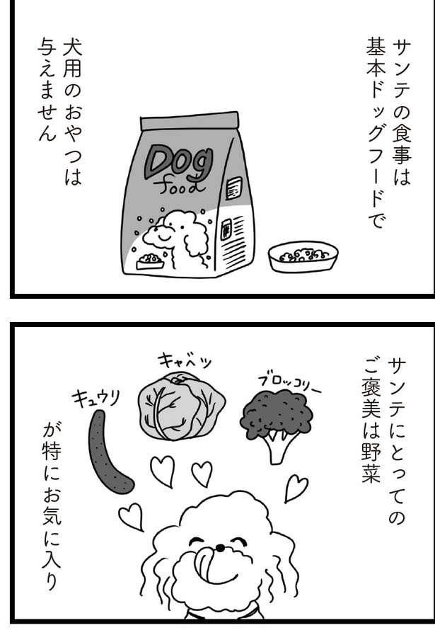 「おはよう、サンテ」7話(01)