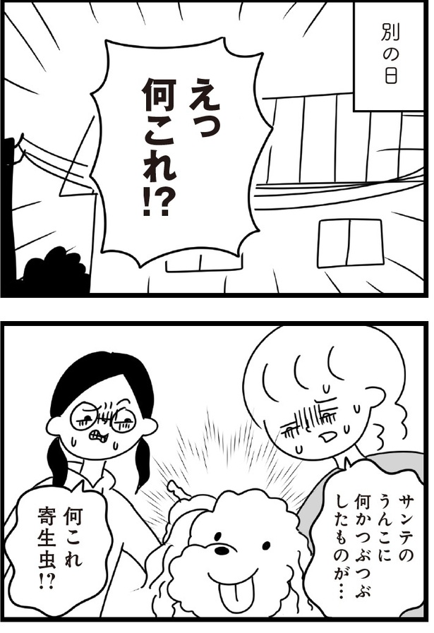 「おはよう、サンテ」7話(03)