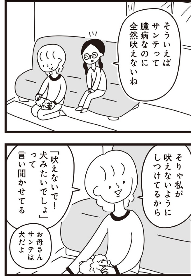「おはよう、サンテ」7話(05)