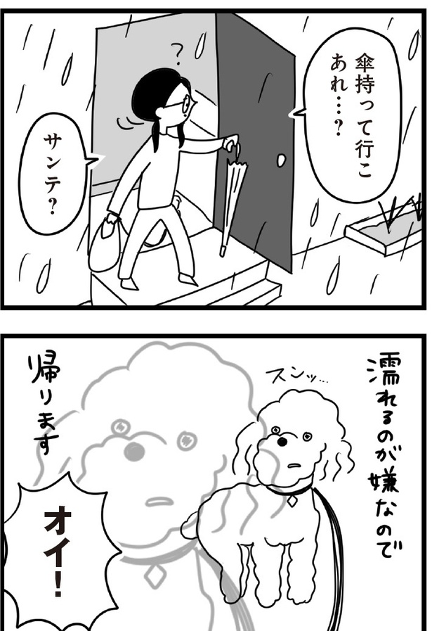 「おはよう、サンテ」7話(12)